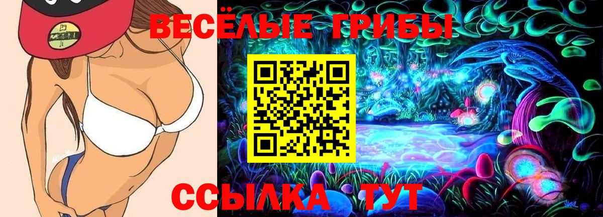 Галлюциногенные грибы GOLDEN TEACHER Зеленогорск