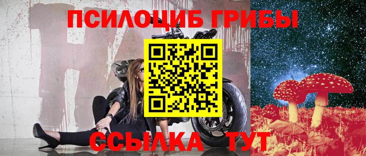 Зеленогорск  Галлюциногенные грибы прущие грибы  Вход с VPN 
