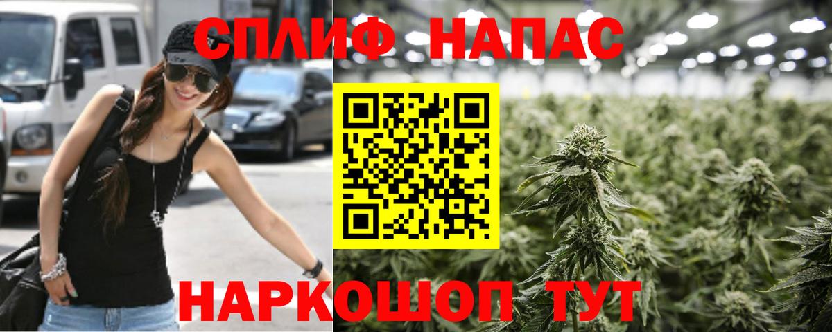 Бошки Шишки план  Бошки Шишки OG Kush  Зеленогорск  Вход с VPN  Марихуана конопля 