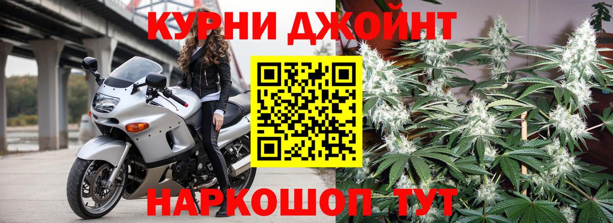 Бошки Шишки семена Зеленогорск